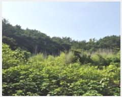  2025Ÿ��21592  �������