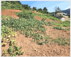  2025Ÿ��21623 �泲 �뿵�� �볲�� �幮�� 579      ����(��1)���