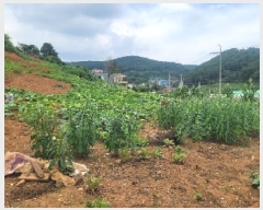  2025Ÿ��21623 �泲 �뿵�� �볲�� �幮�� 579      ����(��1)���