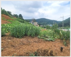  2025Ÿ��21623 �泲 �뿵�� �볲�� �幮�� 579      ����(��1)���