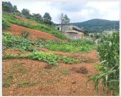  2025Ÿ��21623 �泲 �뿵�� �볲�� �幮�� 579      ����(��1)���