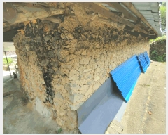  2025Ÿ��21648 �泲 �뿵�� �򸲵� 101       ���ð��