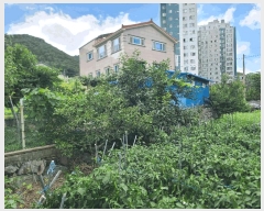  2025Ÿ��21656 �泲 ������ ������ 480-3       ����(��)���