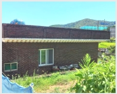  2025Ÿ��21656  ���ð��