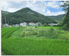  2025Ÿ��21656 �泲 ������ ������ 480-3       ����(��)���