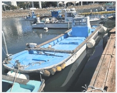  2025Ÿ��21673  ���ڰ��