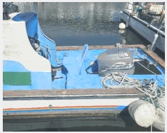  2025Ÿ��21673  ���ڰ��