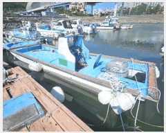  2025Ÿ��21673  ���ڰ��