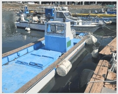  2025Ÿ��21673  ���ڰ��