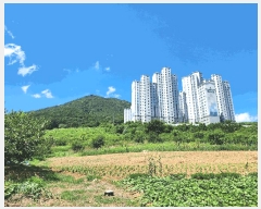  2025Ÿ��21681  �����