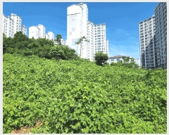  2025Ÿ��21681  �����