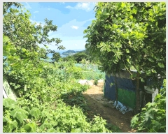  2025Ÿ��21681  �����