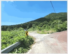  2025Ÿ��21681  �����