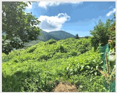  2025Ÿ��21681  �����