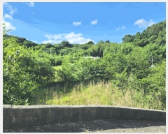  2025Ÿ��21705 �泲 �뿵�� ����� ������ ��273-2      ����(�Ӿ�)���