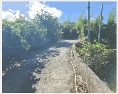  2025Ÿ��21705 �泲 �뿵�� ����� ������ ��273-2      ����(�Ӿ�)���