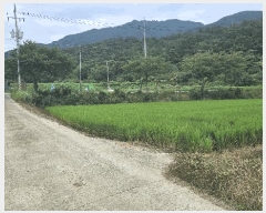  2025Ÿ��21721 �泲 ������ ���ظ� ��⸮ 250-8      ����(��)���