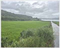  2025Ÿ��21721 �泲 ������ ���ظ� ��⸮ 250-8      ����(��)���