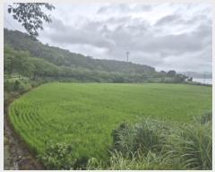  2025Ÿ��21721 �泲 ������ ���ظ� ��⸮ 250-8      ����(��)���