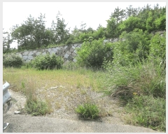  2025Ÿ��21738 �泲 ������ ȸȭ�� ������ 169-8      ����(�Ӿ�)���