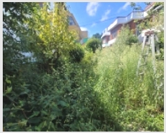  2025Ÿ��21769  ���ð��