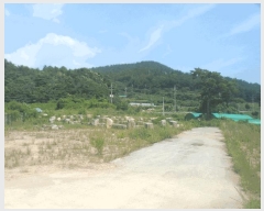  2025Ÿ��21785  �����