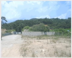  2025Ÿ��21785  �����