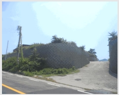  2025Ÿ��21785  �����