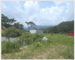  2025Ÿ��21785  �����