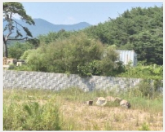  2025Ÿ��21785  �����