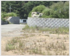  2025Ÿ��21785  �����