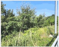  2025Ÿ��21817  �Ӿ߰��