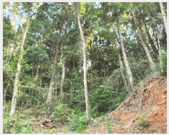  2025Ÿ��21817  �Ӿ߰��