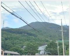  2025Ÿ��21817  �Ӿ߰��