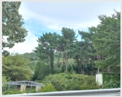  2025Ÿ��21817  �Ӿ߰��