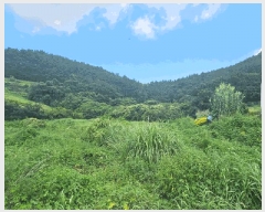  2025Ÿ��21833  �������