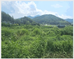  2025Ÿ��21833  �������