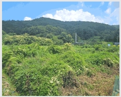  2025Ÿ��21833  �������