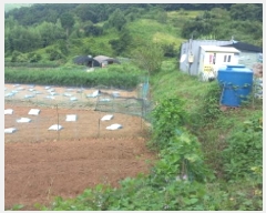  2025Ÿ��21833  �������