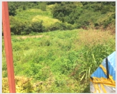  2025Ÿ��21833  �������