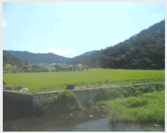  2025Ÿ��21865 �泲 ������ ���̸� ��ȣ�� 583-2      ����(��)���