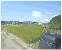  2025Ÿ��21865 �泲 ������ ���̸� ��ȣ�� 583-2      ����(��)���