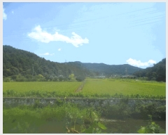  2025Ÿ��21865 �泲 ������ ���̸� ��ȣ�� 583-2      ����(��)���