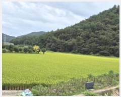  2025Ÿ��21865 �泲 ������ ���̸� ��ȣ�� 583-2      ����(��)���