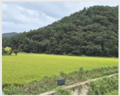  2025Ÿ��21865 �泲 ������ ���̸� ��ȣ�� 583-2      ����(��)���