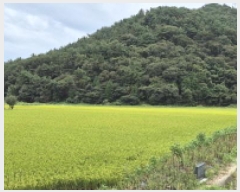  2025Ÿ��21865 �泲 ������ ���̸� ��ȣ�� 583-2      ����(��)���