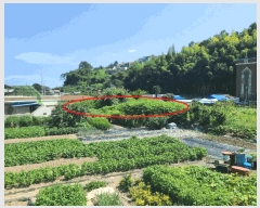  2025Ÿ��21873 �泲 ������ ���� ������ 1032      ����(����)���