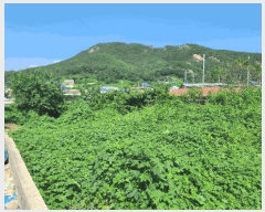  2025Ÿ��21873 �泲 ������ ���� ������ 1032      ����(����)���