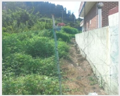  2025Ÿ��21873 �泲 ������ ���� ������ 1032      ����(����)���