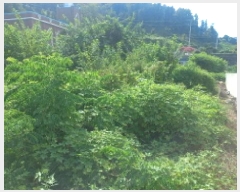  2025Ÿ��21873 �泲 ������ ���� ������ 1032      ����(����)���